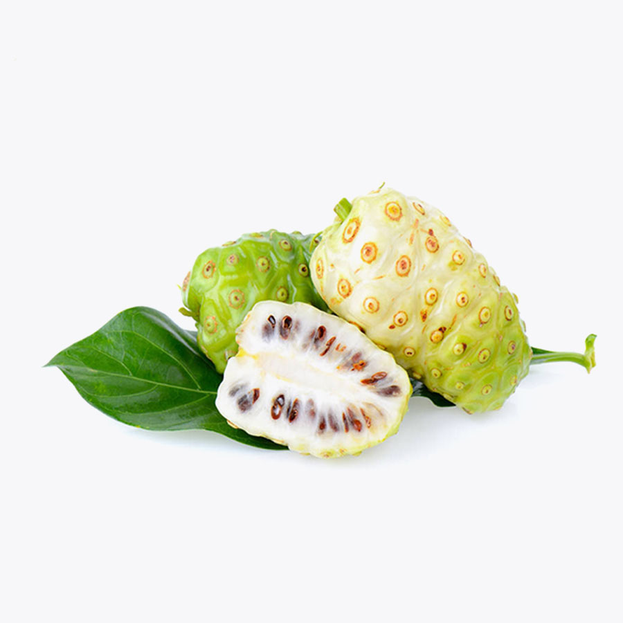 NONI  fruit ( small )