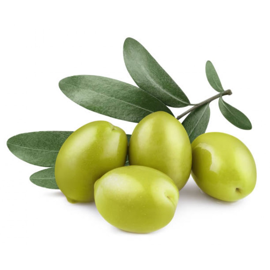 Olive(Middle EST)